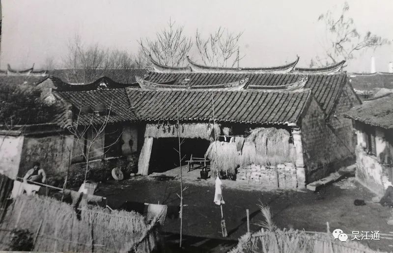 4、作者老家院子照片(杨文超提供).jpg